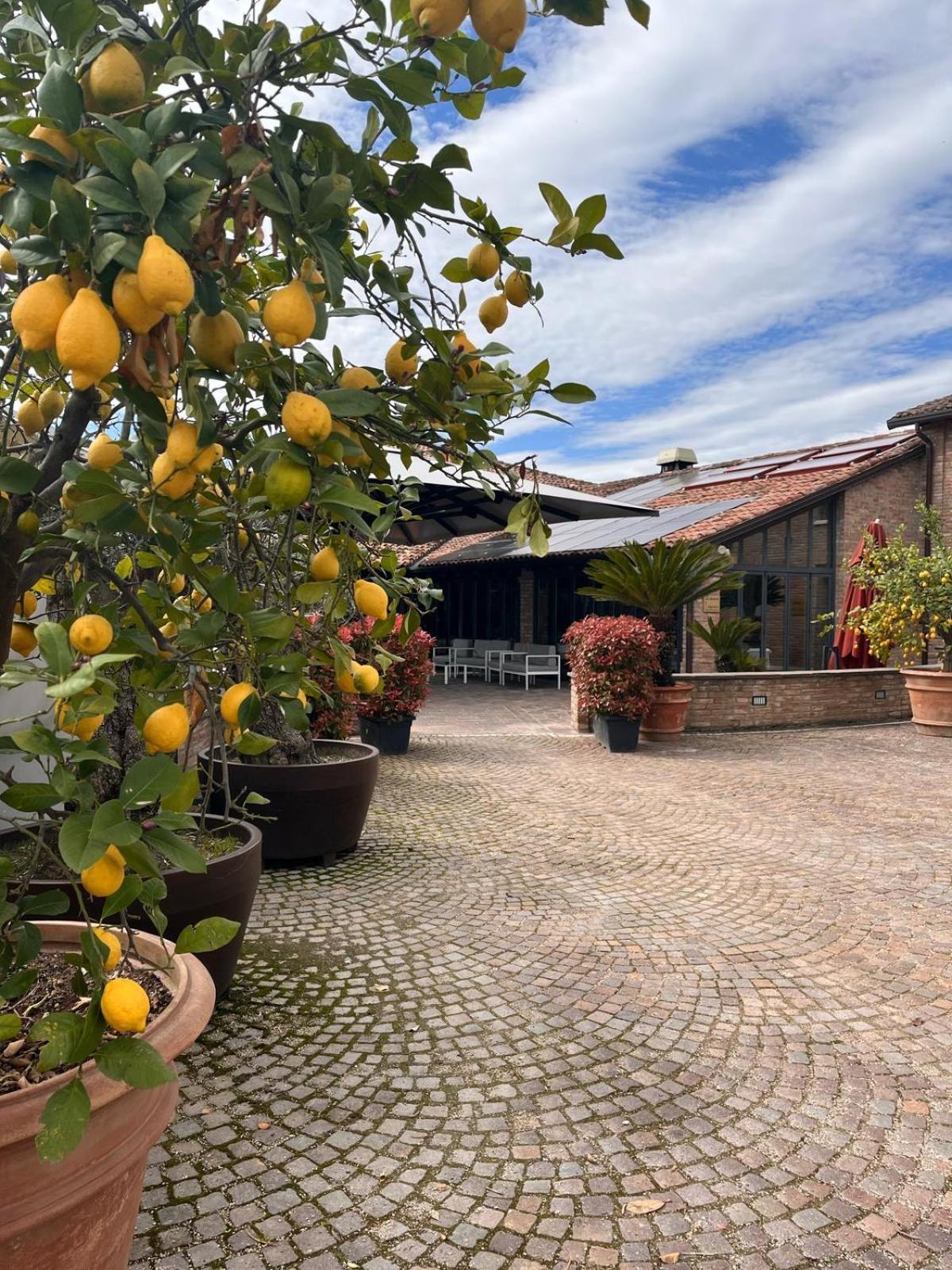 Agriturismo La Sapienza Monestirolo Buitenkant foto